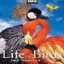 مجموعه مستند زندگی پرندگان|The Life of Birds
