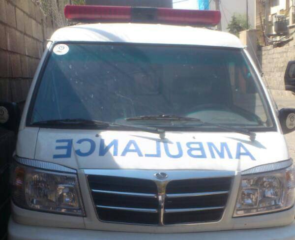 آمبولانس دلیکا 2008