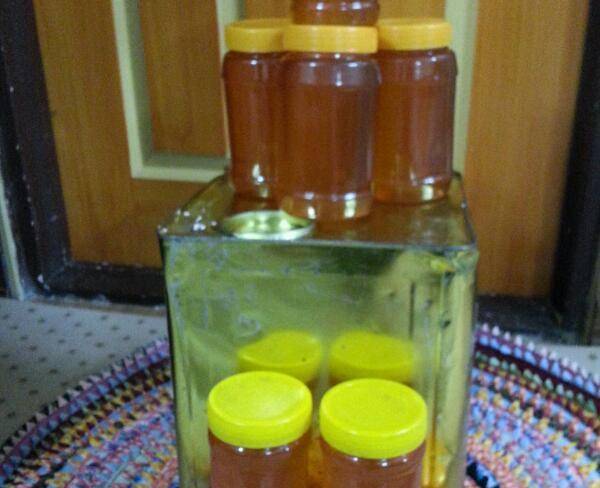 عسل طبیعی کوهای زاگرس کیلوی35000هزار
