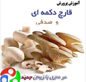 بهترین مجموعه آموزش پرورش قارچ در ایران - شامل ده سی دی