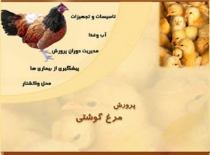 مولتی مدیا آموزش پرورش مرغ گوشتی