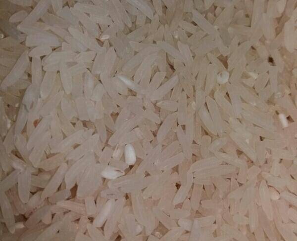 برنج طارم فجر عطری شمال