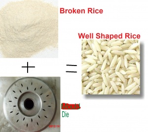 خط تولید برنج مصنوعی برای اولین بار در ایران