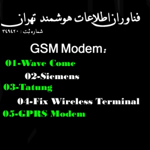 ارسال و دریافت SMS با GSM Modem Tatung ،‌برند شرکت ،‌ و شماره های 3000
