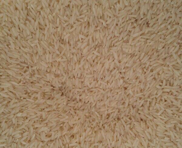 برنج هاشمی با کیفیت
