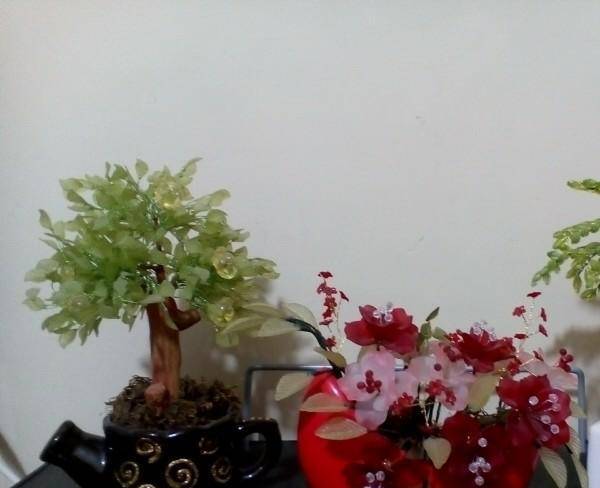 انواع گلهای کریستالی،درختچه