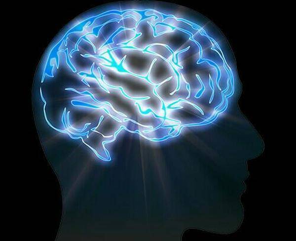 تقویت هوش و حافظه و پرورش مغز