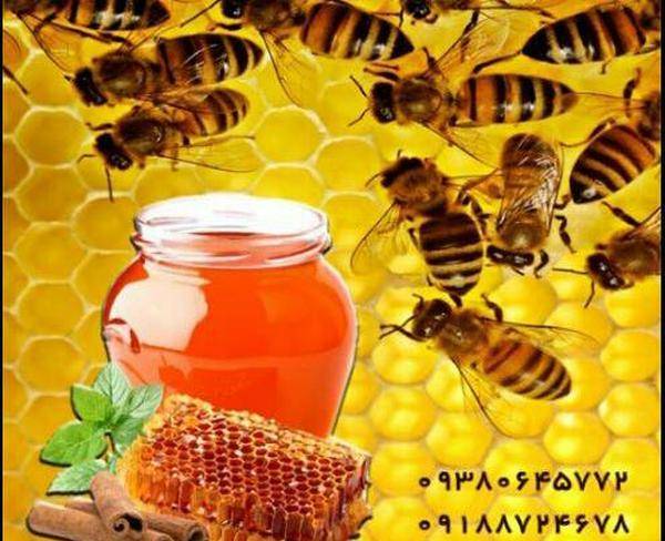 عسل صد در صد طبیعی