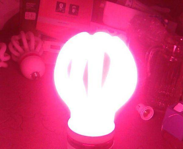 لامپ ۱۰۵ وات قرمز رنگ