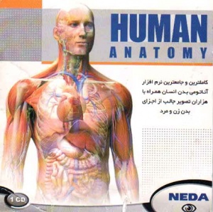 آناتومی بدن انسان و تشریح کامل بدن انسان