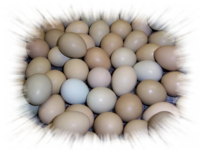 فروش ويژه تخم قرقاول+هديه ويژه(10درصد اضافه+2 سي دي رايگان
