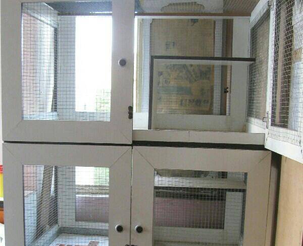 قفس برای پرنده و حیوانات خانگی
