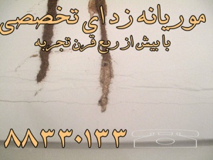 سمپاشی موریانه با مجوز وزارت جهاد کشاورزی