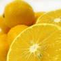 تولید، فروش و صادرات کنسانتره لیمو