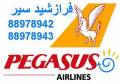 رزرو و صدور بلیط پگاسوس Pegasus Airlines