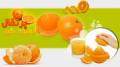 پرتقال آب میوه گیر/راحت ترین وسیله برای اب گرفتن