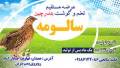 فروش گوشت و تخم بلدرچین در استان همدان