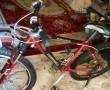 دوچرخه حرفه ای لاکاغذی canondell