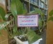 عضویت در کتابخانه مکتب الزهرا