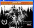 dying light following region 2 ps4