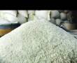 پخش برنج ایرانی مستقیم از شالیزار