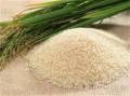 برنج-مرکبات و دیگر صنایع غذایی