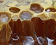 عسل طبیعی بشرط هرنوع آزمایش