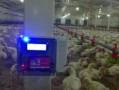 اتوماسیون مرغداری - کنترل هوشمند تابلو