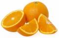 آگهی تولید کارمزدی کنسانتره پرتقال