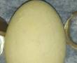 گوهر شبچراغ سنگ اصل بصورت تخم مرغ