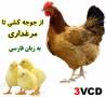 از جوجه کشی تا مرغداری-ارجینال- زبان فارسی (۳VCD