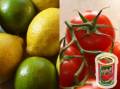 فروش لیمو ترش و گوجه فرنگی به کارخانه
