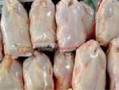 تولید و فروش مرغ منجمد و مرغ کشتار روز