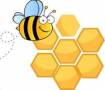 عسل گلبهار ، فروش عسل طبیعی  مرغوب به تمام ایران