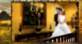 جدید ترین بکگراندهای عکس عروس 2010