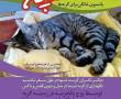 پانسیون خانگی گربه در شیراز