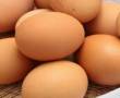 نیازمند ۳۰۰ تخم نطفه دار محلی