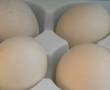 سلام 6:-7تا تخم مرع لاری بلند میخواستم قیمت ...