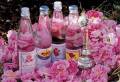 تولید و فروش گلاب قمصر کاشان