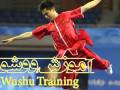 Wushu training.