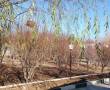باغ ویلا 2400 متر یوسف آباد
