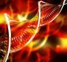 مواد و آنزیمهای آزمایشگاه ژنتیک و بیوتکنولوژی(PCR)