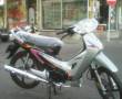 ویو رودوین 125 cc صفر مدل 95