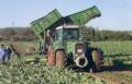 فروش زمین کشاورزی 95 هکتاری با ماشین آلات در اراک