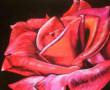 تابلوی نقاشی زیبای گل رز