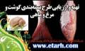 ارائه طرح توجیهی بسته‌بندی گوشت و مرغ و ماهی www.etarh.com
