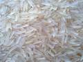 فروش برنج باسماتی از کشور هندوستان