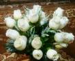 گلدان و گل رز سفید