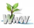 طراحی وب سایت - برنامه نویسی اختصاصی وب