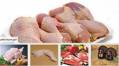فروش مرغ کشتار روز گوشت بوقلمون ، بلدرچین ، اردک